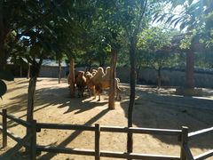 -石家庄市动物园