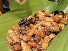 -基诺山寨.版纳民族特色菜