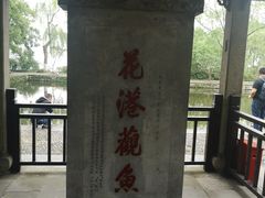 -西湖外事游船(花港观鱼码头)