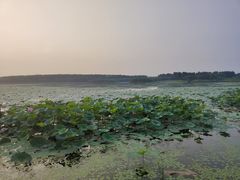 -丁香湖公园