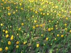 -长春公园(普阳街道)