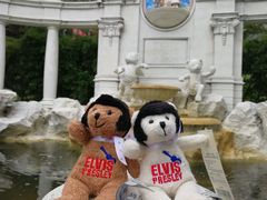 -济州岛泰迪熊博物馆