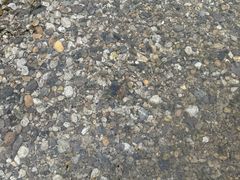 -华蓥山天意谷景区