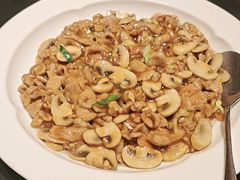 -新乾隆酒楼(帝景园店)
