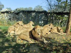 -北京野生动物园