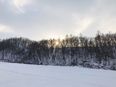 景点-五家山森林公园滑雪场