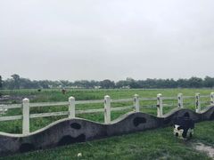 -瑞穗牧场