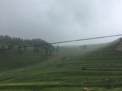 -空中草原