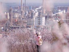 -白水寺森林公园