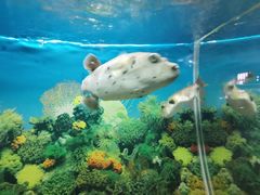 -泉州海丝野生动物世界