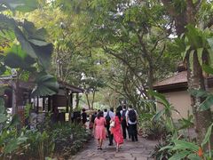 -植物园哈利亚餐厅