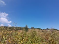 -白草畔自然风景区