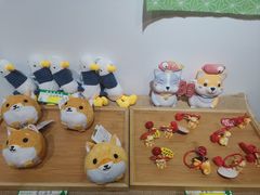-柴迷FANS CLUB·柴犬狗咖·猫咖