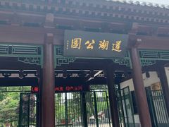 -莲湖公园