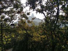 -杭州半山国家森林公园