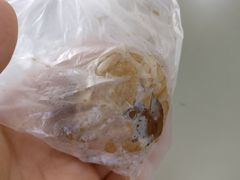 -金盆阿嬷香菇茶叶蛋(玄光店)