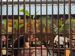 -单家老院·院子里的青岛菜(沙子口店)