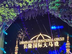 -广州长隆国际大马戏