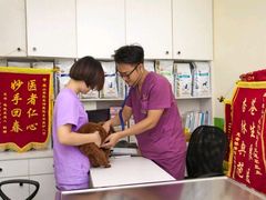 -辛巴宠物医疗中心·骨科·内分泌专科·心肾专科(亭林公园店)