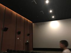 -汉阳天河电影城(王家湾店)