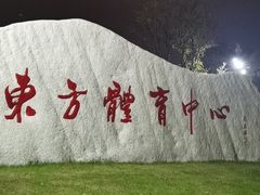 -东方体育中心(地铁站)