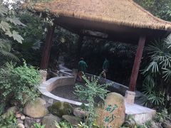 -天赐温泉