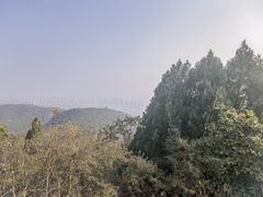 -府君山公园
