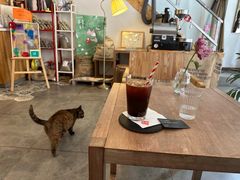 -栖咖啡(泉舜店)