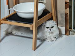 -佳雯宠物医院·皮肤科·内外科(春晓路分院)