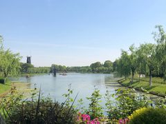 -上海鲜花港