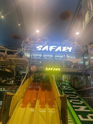 -卡通尼·Safari非洲探索乐园·生日会(金桥国际商业广场店)