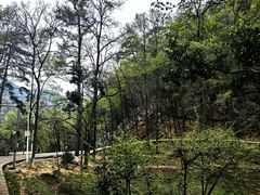 -黔灵山公园