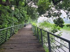 -月湖风景区