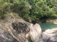 -广州白江湖森林公园