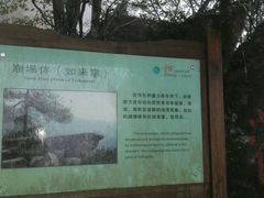 -云中大漈