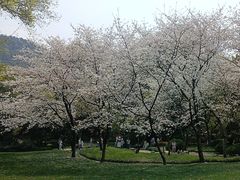 -中国茶叶博物馆(双峰馆区)