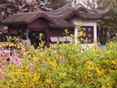 -无锡蠡湖国家湿地公园-蠡园