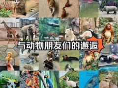 -成都动物园