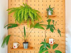 -DEEP COFFEE(瑞光烘焙工厂店)