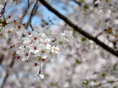 -龙美术馆(西岸馆)