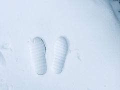 -布拉迪斯拉发城堡