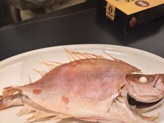 特色鱼饭-吴记富苑(朝阳店)