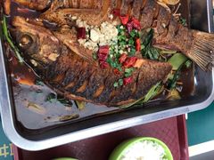 -农园餐厅(北京大学店)