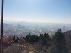 -府君山公园