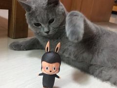 -泡泡玛特POPMART(天环购物中心店)