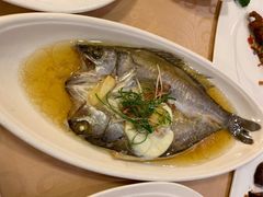 肉饼芙蓉海鲈鱼斑-新镇江酒家(南京西路店)
