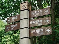 -潜山国家森林公园