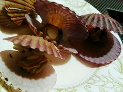 -比亚森自助烤肉料理(裕华店)