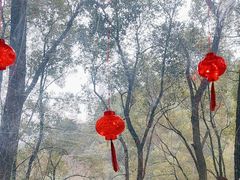 -巴倒烫陆派火锅山庄(南山总店)