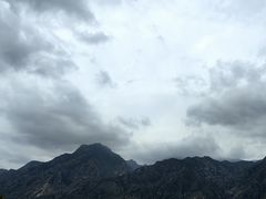 -哈素海
